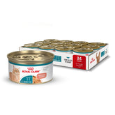 ROYAL CANIN front can view showing product and clear branding for easy identification