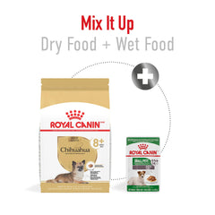 ROYAL CANIN bol servido con pienso apetecible para chihuahuas