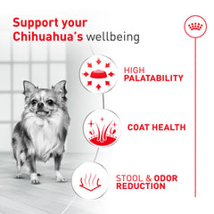 ROYAL CANIN vertido de alimento seco para ver textura y atractivo visual