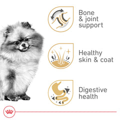 ROYAL CANIN croqueta en primer plano diseñada para mandíbulas pequeñas