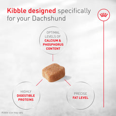 ROYAL CANIN primer plano del kibble con forma adaptada, fácil de agarrar