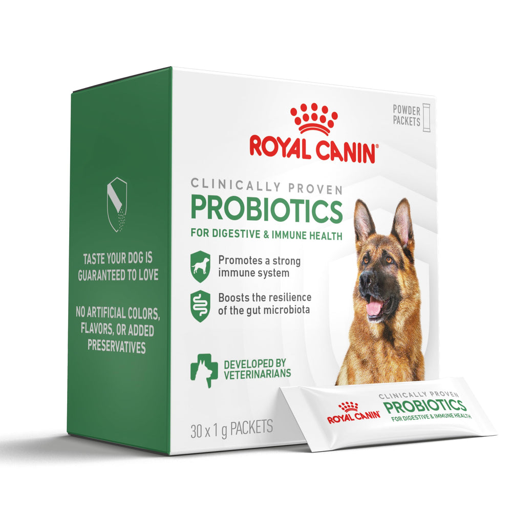 ROYAL CANIN empaque frontal mostrando suplemento probiótico y beneficios