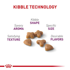 ROYAL CANIN close-up of three kibble shapes demonstrating appetite appeal and variety