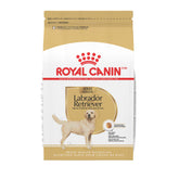 ROYAL CANIN paquete frontal del pienso Labrador Retriever con visión clara del tamaño
