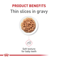 ROYAL CANIN láminas en gravy detalle de textura, ventaja: fácil masticación para gatitos