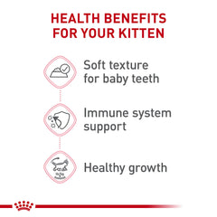 ROYAL CANIN lata abierta vista superior mostrando salsa y láminas, beneficio: apetecible y húmedo