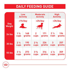 Royal Canin bol con pienso servido para una comida balanceada