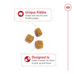 ROYAL CANIN primer plano de la croqueta diseñada para hocico de Poodle y fácil masticación