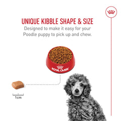 ROYAL CANIN cachorro de Poodle comiendo para mostrar aceptación y facilidad de ingestión