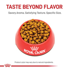 ROYAL CANIN detalle de croqueta piramidal que mejora la masticación