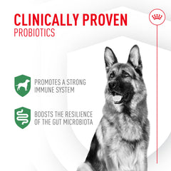 ROYAL CANIN sobre individual abierto listo para espolvorear, administración fácil