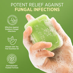 Roycederm soap bar texture close-up highlighting smooth surface and lather potential