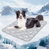 Rywell alfombra frontal gris mostrando diseño elegante y frescor