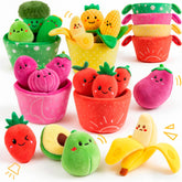 SAIMAND set frontal empaquetado, ideal regalo educativo