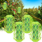 Sancodee front view of four green hanging wasp traps showing package benefit