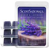 Scentsationals caja frontal con diseño y beneficio aroma duradero