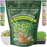 Seedboy empaque frontal mostrando mezcla orgánica y beneficios frescura