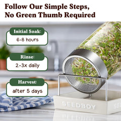 Seedboy microgreens cercanos resaltando hoja tierna y crunch