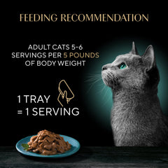 Sheba textura de la salsa en cuchara destaca apetito y humedad