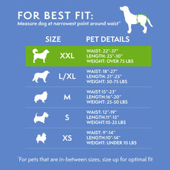 Simple Solution large dog wearing diaper illustrating comfortable leak protection