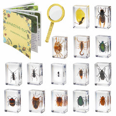 SINGEWOW vista frontal del set con 15 insectos para enseñanza