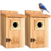 SISTERBIRD two-pack front view showing cedar houses and benefit of dual nesting spots