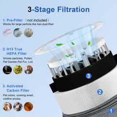 Smilyan filtro corte interior mostrando carbón activo para olores