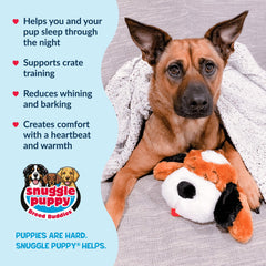 Snuggle Puppie dentro de jaula ilustrando apoyo al entrenamiento y descanso
