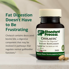 Standard Process Cholacol tablet texture detail highlighting tablet composition benefit