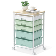 SYKIARIOL front view light green cart showing compact organized storage and mobility