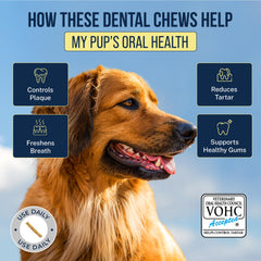 large dog chewing Tartar Shield chew demonstrating easy digestion benefit