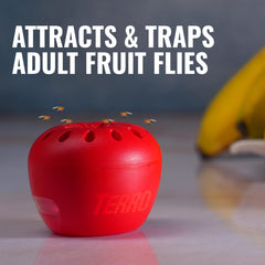 TERRO trampa colocada en frutero reduciendo moscas y protegiendo la fruta