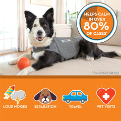 Thundershirt comparación con mano que muestra escala y facilidad de ajuste de la talla mediana