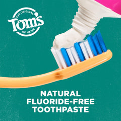 Tom's of Maine ingredientes clave visibles y énfasis en origen natural