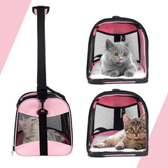 Top tasta colchón de lana desmontable para mayor comodidad
