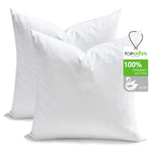 TOPGREEN front view of two 20x20 pillow inserts showing clean white finish and packaging, enhancing decor flexibility