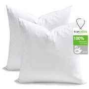 TOPGREEN front view of two 20x20 pillow inserts showing clean white finish and packaging, enhancing decor flexibility