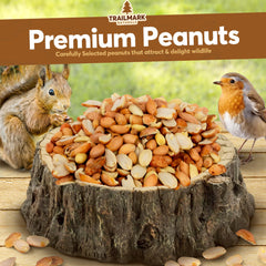 TRAILMARK NATURALS primer plano de textura de cacahuetes crudos beneficios nutricionales
