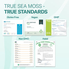 TrueSeaMoss gel mezclado en batido proteico cremoso y nutritivo
