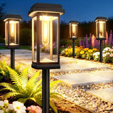 TuyLuxe front view packaging showing eight pathway lights and benefits