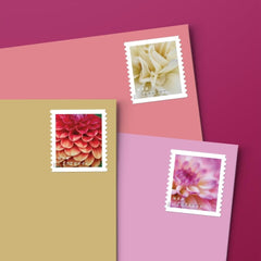 United States Postal Service detalle de pétalos rosa, color y textura realzados