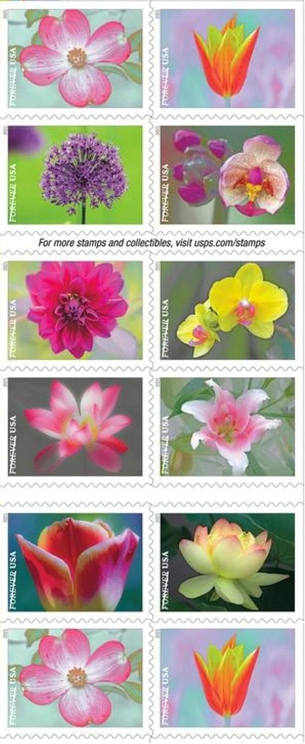 United States Postal Service cuadernillo abierto mostrando sellos florales, embellece correo