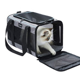 Vceoa front view of carrier showing shape and handles for easy transport