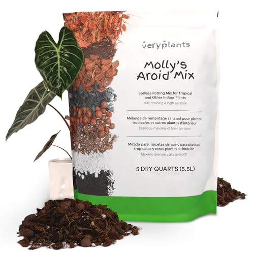 veryplants empaque frontal de Molly's Aroid Mix mostrando etiqueta y tamaño