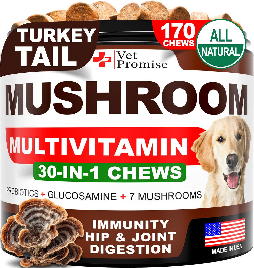 Vet Promise envase frontal de Turkey Tail para perros mostrando 170 masticables y beneficios