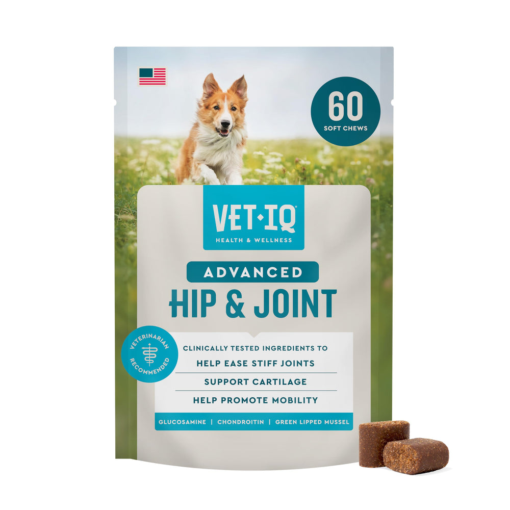 VETIQ front packaging showing 60-count bag and benefits