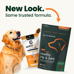 VetriScience close-up of chew texture highlighting soft, bite-sized formula for easy chewing