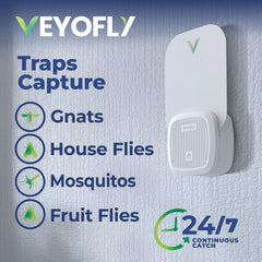 VEYOFLY glue card closeup revealing sticky surface and capture detail