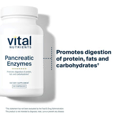 Vital Nutrients cápsulas en mano para apreciar tamaño y dosis por porción