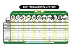 Wagner's plataforma con varias aves alimentándose, mayor diversidad en jardín